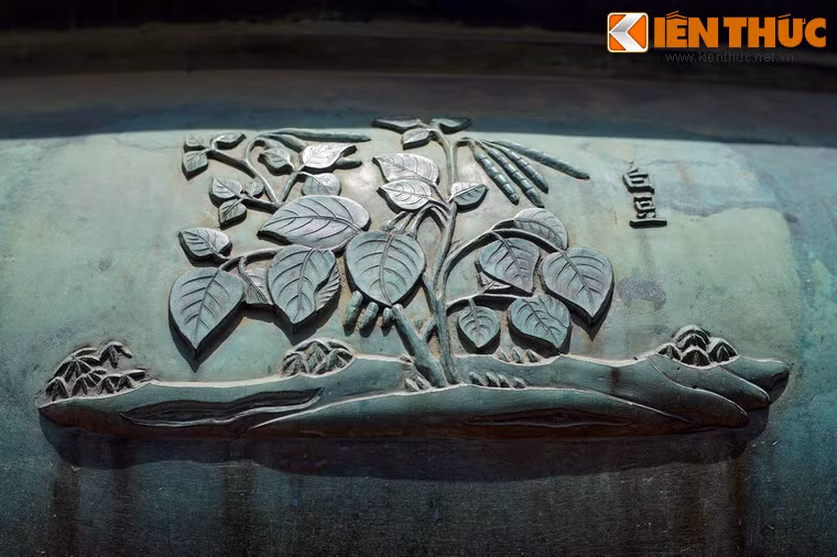 "Bạch đậu" là cây đậu trắng, loài ngũ cốc họ đậu thứ năm xuất hiện ở Cửu đỉnh, bên cạnh đậu ván, đậu khấu, đậu nành và lạc.