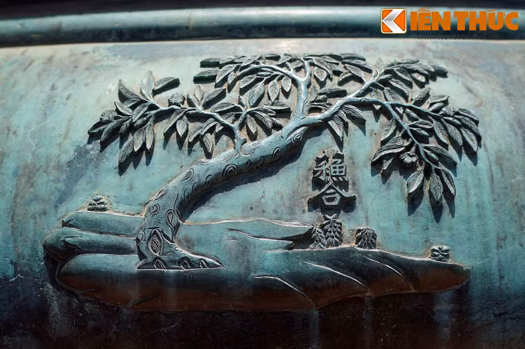 "Tô hợp" là cây tô hợp, loài cây thuốc quý trong Đông y.