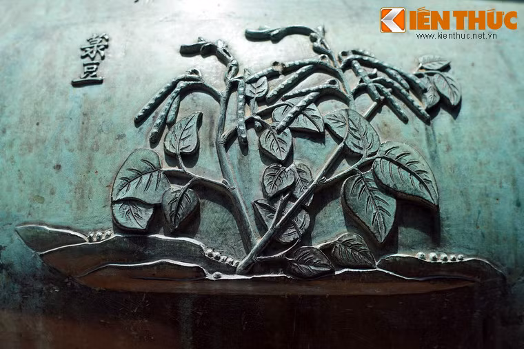 "Lục đậu" là cây đậu xanh, loại ngũ cốc có vai trò quan trọng trong nền ẩm thực Việt.