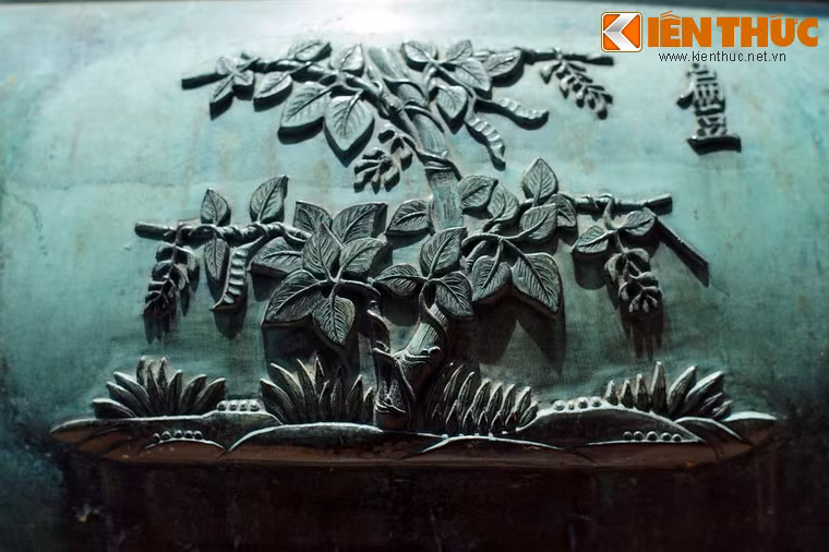 "Biển đậu" là cây đậu ván, loài cây ngũ cốc họ đậu được trồng phổ biến ở Việt Nam.