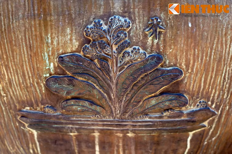 "Giới" là cây rau cải, loài rau được trồng phổ biến, dùng để chế biến nhiều món ăn khác nhau hoặc muối dưa.