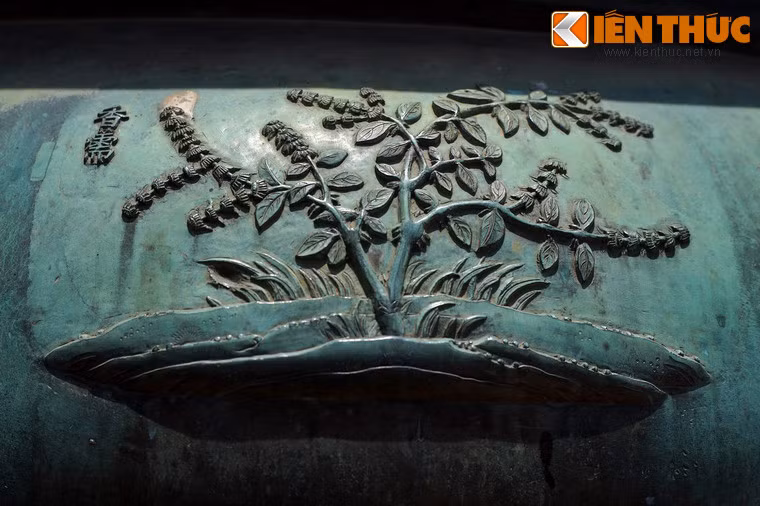 "Hương nhu" là cây hương nhu, cũng là một dược liệu quen thuộc của người Việt xưa.