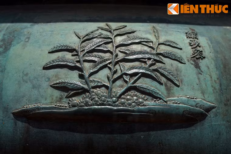 Kế đến là "Súc sa mật", nghĩa là cây sa nhân, loài cây có hạt dùng làm gia vị, là, hạt và quả dùng làm dược liệu trong y học cổ truyền.