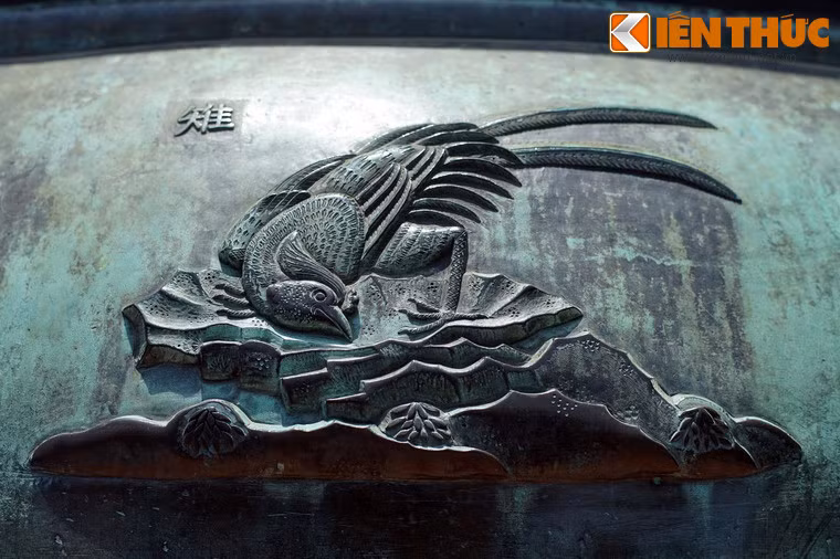 "Trĩ" là chim trĩ, loài chim có họ với gà, sở hữu bộ lông màu sắc rất đẹp.