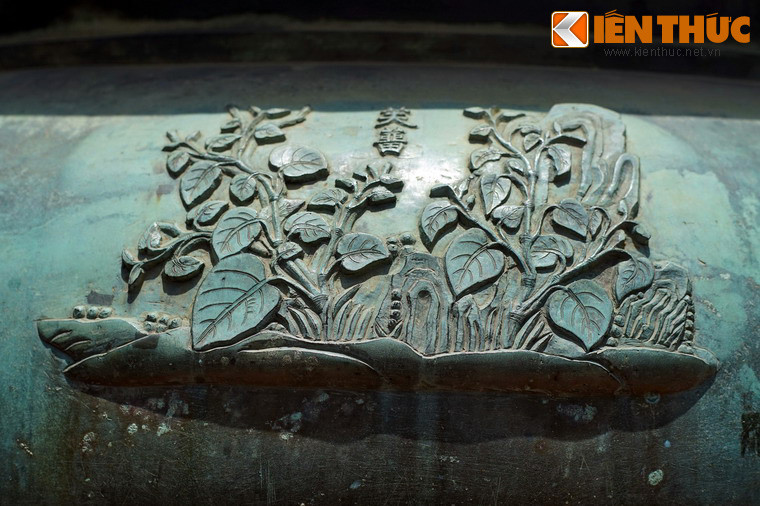 Hình tượng "Phù lưu" trong Dụ đỉnh là cây trầu, loài cây leo được trồng lấy lá, gắn bó mật thiết với tục ăn trầu cau của người Việt đã đề cập ở trên.