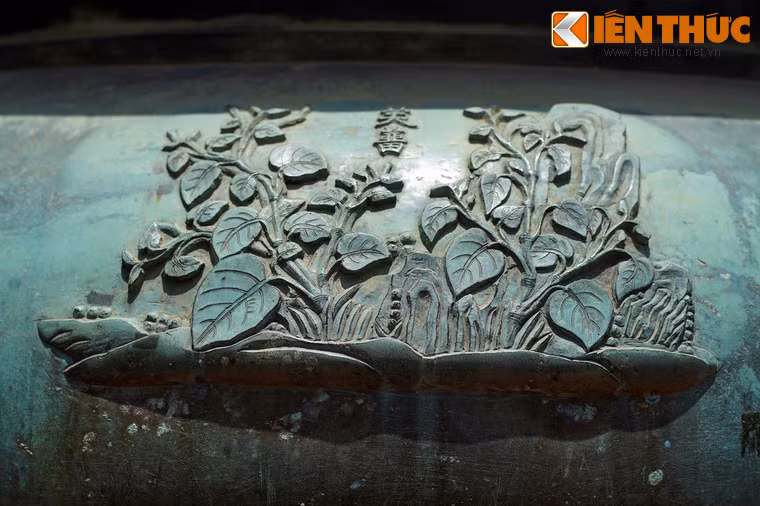 Hình tượng "Phù lưu" trong Dụ đỉnh là cây trầu, loài cây leo được trồng lấy lá, gắn bó mật thiết với tục ăn trầu cau của người Việt đã đề cập ở trên.