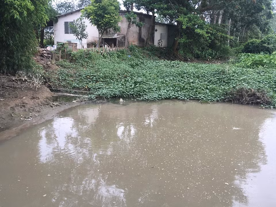 Nguon nuoc dau vao nha may nuoc sach o Hai Duong lieu co sach?-Hinh-7