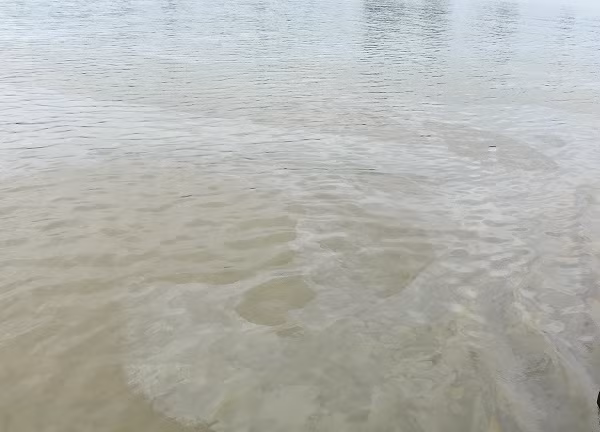 Nguon nuoc dau vao nha may nuoc sach o Hai Duong lieu co sach?-Hinh-3