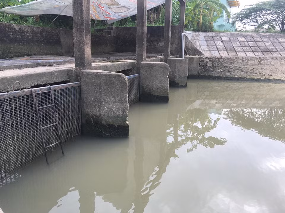 Nguon nuoc dau vao nha may nuoc sach o Hai Duong lieu co sach?-Hinh-5