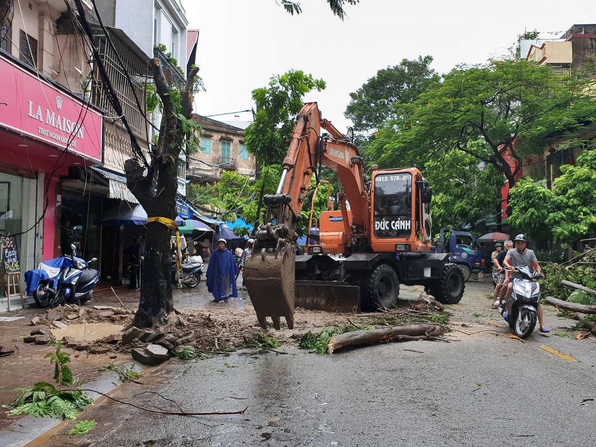 Lực lượng chức năng nhanh chóng thu dọn những cây xanh bị đổ.