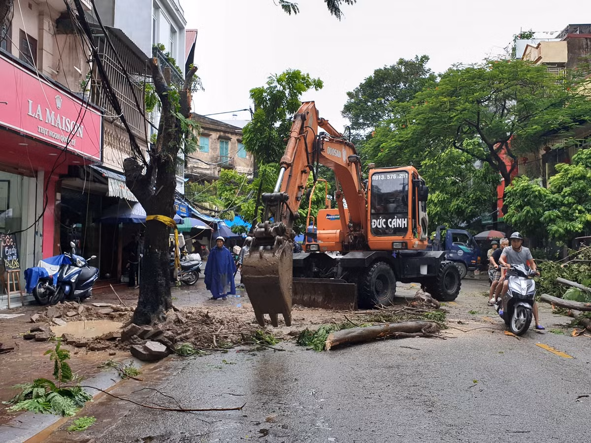 Lực lượng chức năng nhanh chóng thu dọn những cây xanh bị đổ.