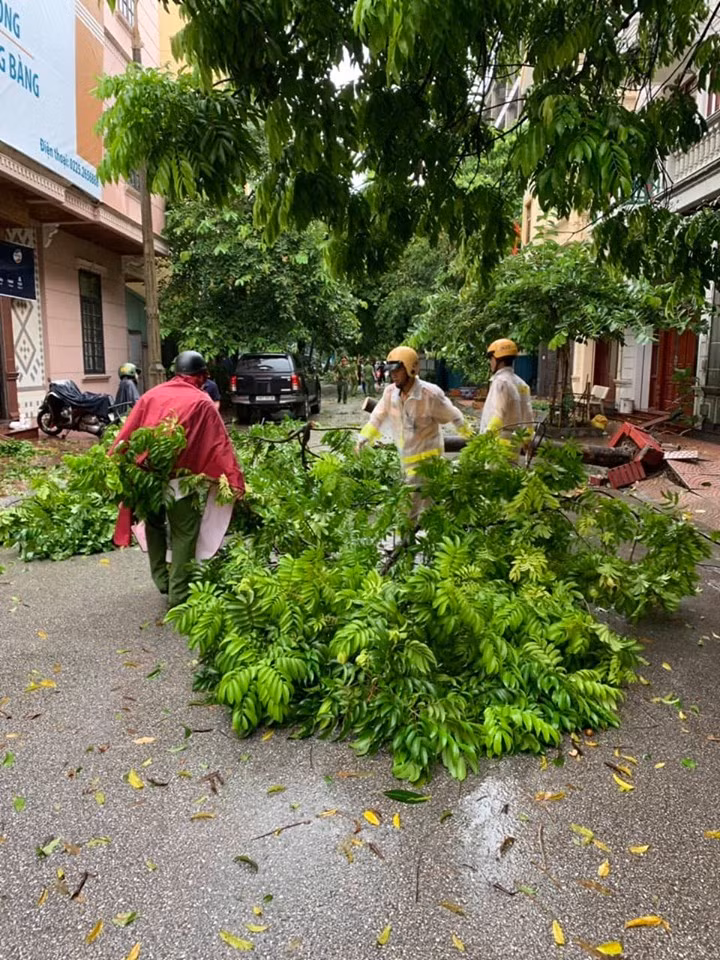 Lực lượng CSGT tham gia dọn cây bị đỗ gãy.