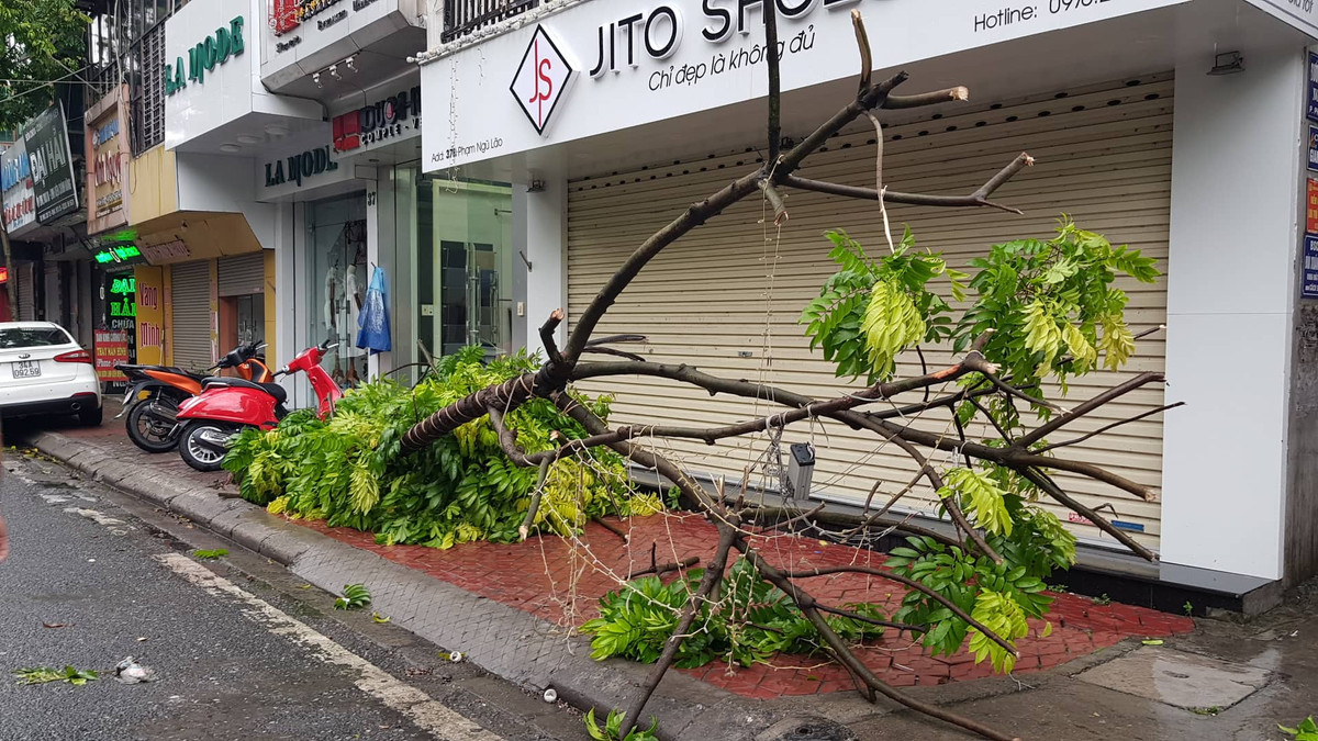 Nằm ngả nghiêng trên vỉa hè.