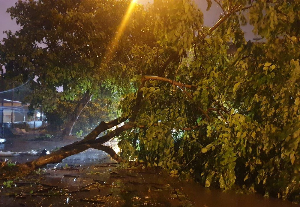 Bao so 3 suy yeu thanh ap thap nhiet doi, Bac Bo mua lon-Hinh-2