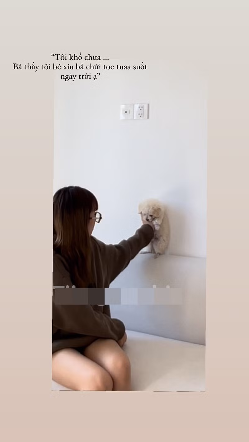Trên story Instagram, Lê Thị Khánh Huyền đăng ảnh chơi đùa cùng một chú cún con. Tuy nhiên chiếc ghế sofa và ổ điện lại giống y xì đúc với hình ảnh của Bụt đăng trước đó.