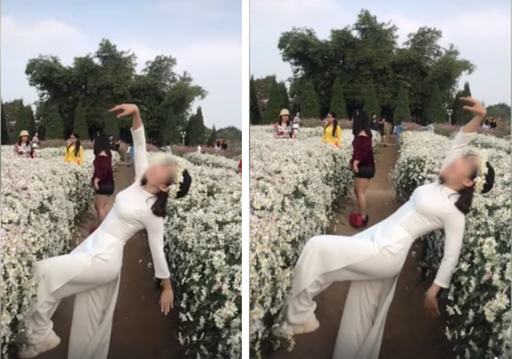 Hình ảnh một cô gái vì mải mê tạo dáng mà không may đã ngã nhào lên luống cúc họa mi được chia sẻ lên mạng xã hội đã khiến nhiều người xôn xao.