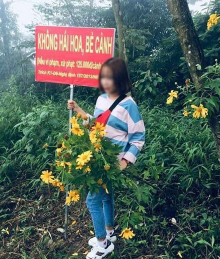 Hết nằm sõng soài chụp ảnh làm dập nát hết những luống hoa, có cô gái thậm chí còn cầm bó hoa dã quỳ trên tay vô tư đứng cạnh biển "cấm hái hoa, bẻ cành" cũng khiến dư luận trước đó từng rất sục sôi.