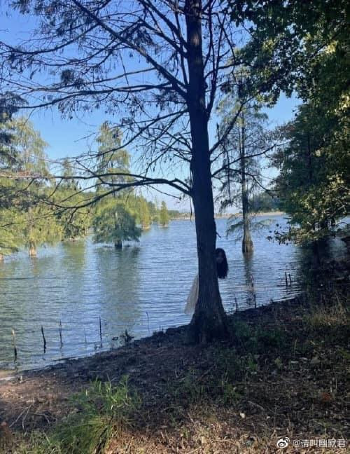 Theo như nhiều cư dân mạng bình luận, cô gái này đã dính phải "lời nguyền" nhờ bạn chụp ảnh bấy lâu, tưởng chừng như có được bộ ảnh nàng thơ với váy trắng và mái tóc dài, thế nhưng sản phẩm nhận về chẳng khác gì kinh dị.