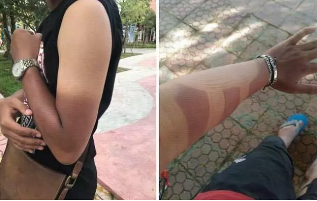 Những hình ảnh hài hước "dở khóc dở cười" này sẽ là minh chứng hùng hồn nhắc bạn đừng coi thường sức mạnh của mùa hè.