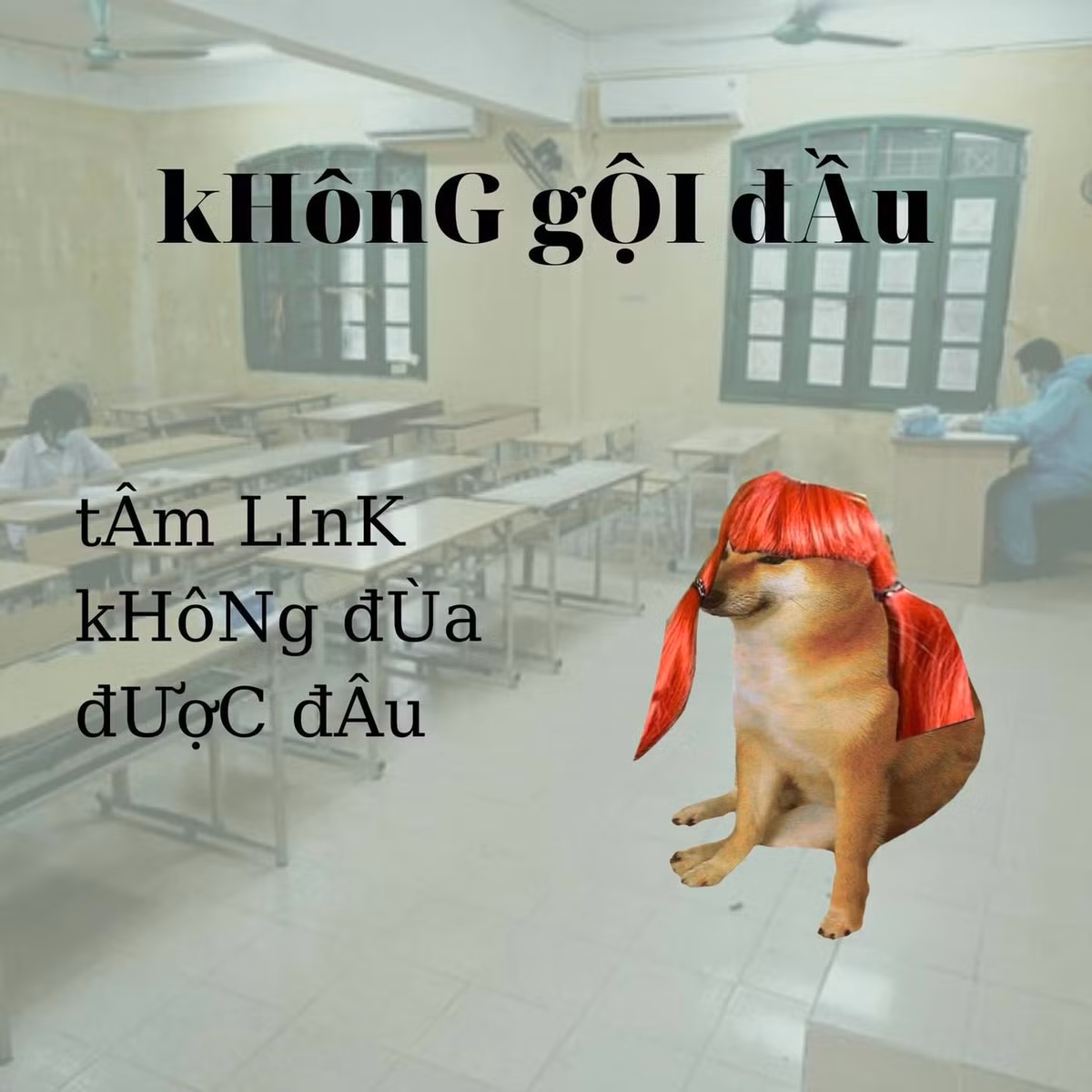 Với nhiều "người chơi hệ tâm linh" việc gội đầu trước ngày thi tốt nghiệp là điều không nên.