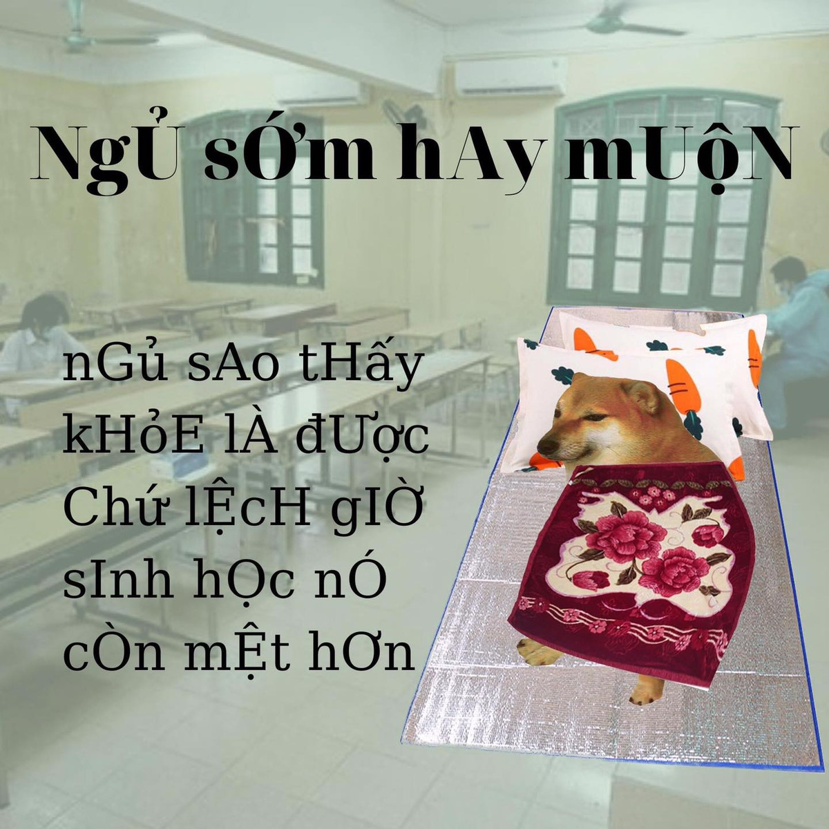 Ngủ sớm hay muộn không quan trọng, miễn sao các sĩ tử không bị lệch múi giờ sinh học của bản thân là được.