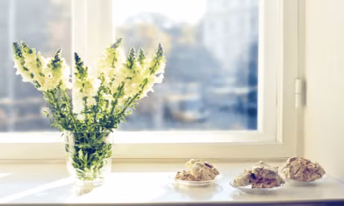 Di chuyển bình hoa hoặc khung ảnh từ phòng này sang phòng khác sẽ giúp thay đổi năng lượng, tạo nguồn cảm hứng mới cho các thành viên trong gia đình. Ảnh: Inhabitat.