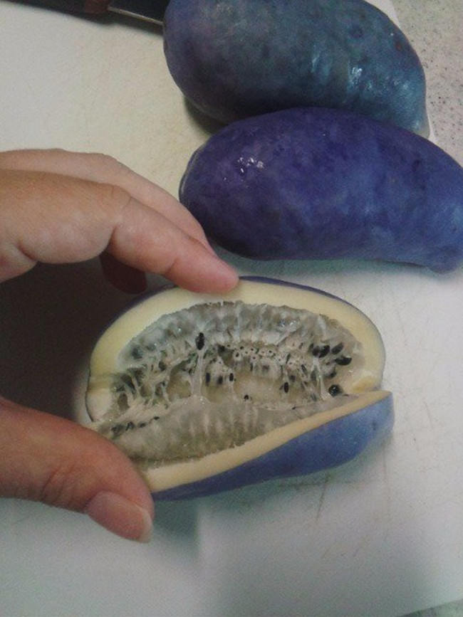 Ruột quả có màu trắng đục, nhiều hạt. Chúng được xem là loại quả mùa thu và chỉ xuất hiện trong 2 tuần đầu của mùa thu.