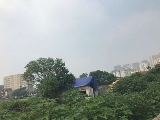 Đến thời điểm cuối tháng 9/2019, nhiều khu đất bên trong dự án này vẫn bỏ hoang, để cây cỏ dại mọc um tùm.