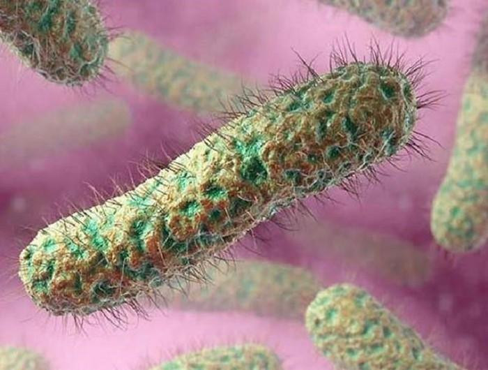 Hai trẻ là anh em ruột nghi tử vong do vi khuẩn ăn mòn cơ thể Whitmore Hai tre la anh em ruot nghi tu vong do vi khuan an mon co the Whitmore