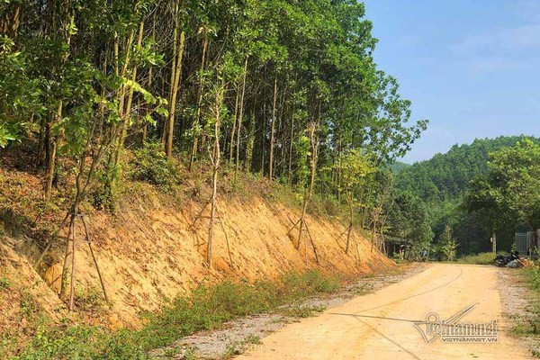 Hang hoa ban doc duong 16 ty sap bi nho, chu nhan voi xuat hien