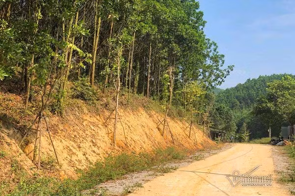 Hang hoa ban doc duong 16 ty sap bi nho, chu nhan voi xuat hien