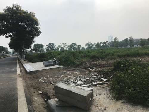 Tap doan Nam Cuong “om dat ngu quen“: Co can cu de xu ly vi pham luat dat dai-Hinh-2