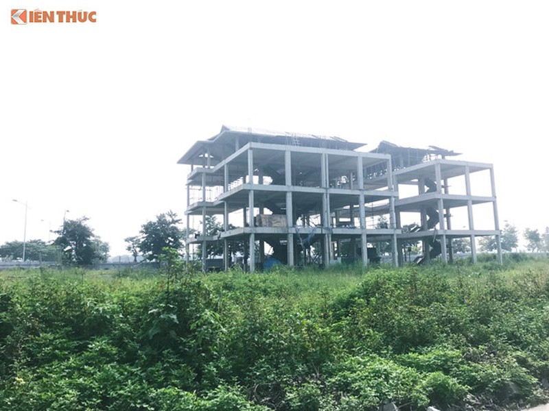 Nam Cuong “om dat ngu quen“: Ba chu Tap doan giau co co nao?-Hinh-2