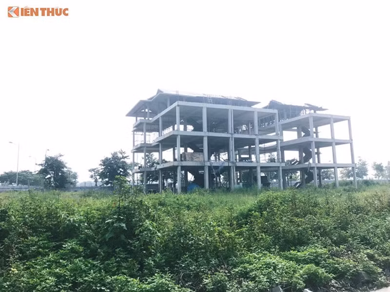 Nam Cuong “om dat ngu quen“: Ba chu Tap doan giau co co nao?-Hinh-2