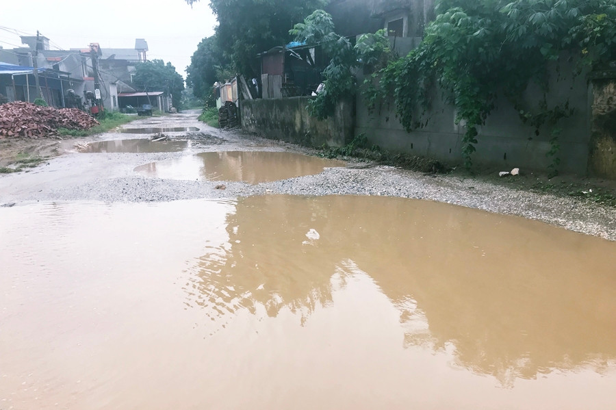 Ghi nhận của PV Kiến Thức ngày 1/11/2019 cho thấy, những "ổ voi", "ổ gà" trên mặt đường ĐH.08 nối chi chít liền nhau.