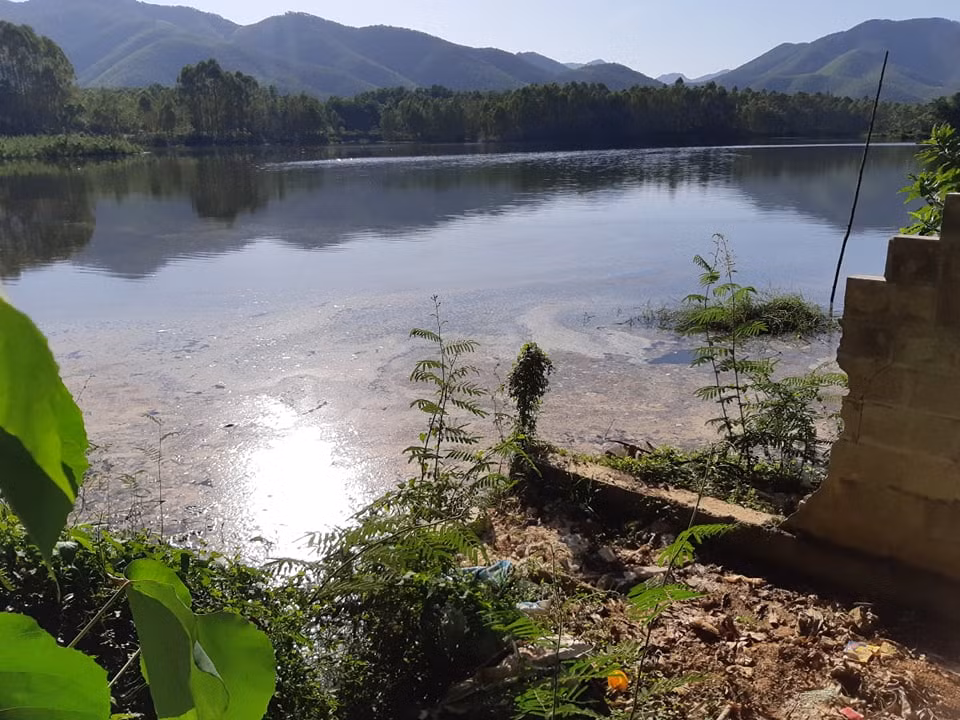 Dan doi mua ret keo nhau den gia cam Hoa Phat Phu Tho yeu cau doi thoai-Hinh-6