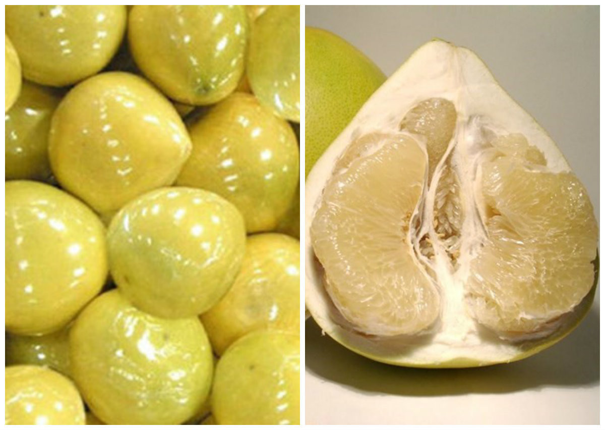 Bo kho vai nam khong hong, ca kho ruoi khong dam dau-Hinh-6