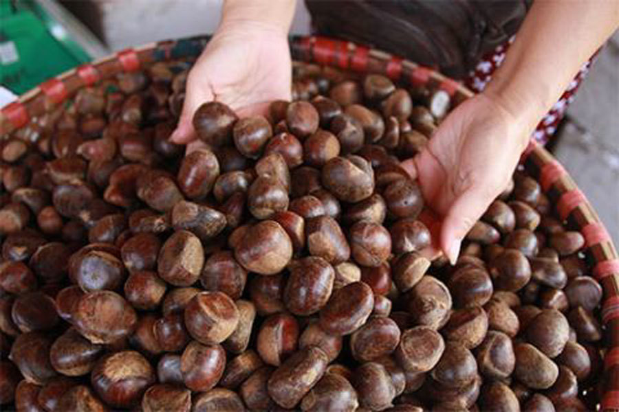Bo kho vai nam khong hong, ca kho ruoi khong dam dau-Hinh-4