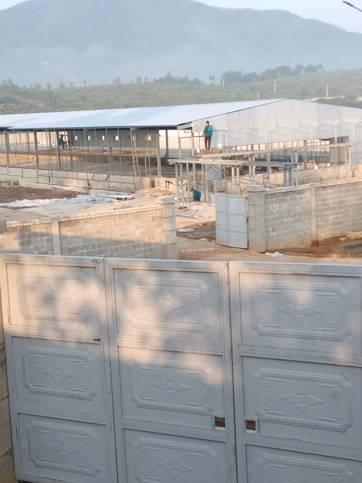 TD Hoa Phat tang cao doanh thu nong nghiep... lai “lenh phenh” o nhiem moi truong-Hinh-6