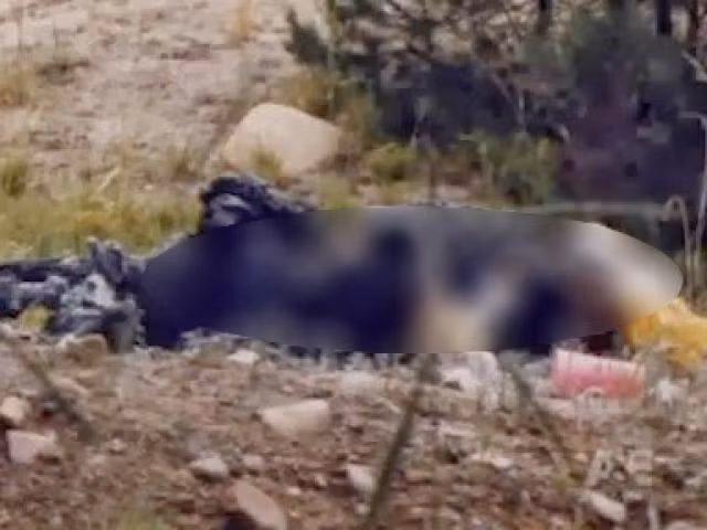 Theo hồ sơ vụ án, chiều 9/11/2018, một người dân trong lúc đi thăm khu đầm rươi dưới chân đê sông Thái Bình thuộc thôn Bắc Phong, xã Kiến Thiết, huyện Tiên Lãng phát hiện trong vạt cỏ một thi thể bị cháy đen nằm co quắp. Được tin báo, Công an huyện Tiên Lãng và Đội Cảnh sát đặc nhiệm Phòng CSHS cùng lực lượng Kỹ thuật hình sự CATP đã lập tức có mặt. Kết quả khám nghiệm cho thấy, đây không phải là một vụ tự sát bởi nếu tự thiêu thì do phản xạ, nạn nhân buộc phải di chuyển xung quanh vì nóng, vùng cháy sẽ khá rộng và không cố định. (Ảnh minh họa, nguồn internet) 