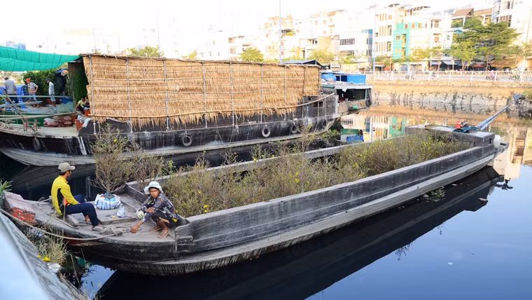 Cả khúc sông ven tuyến đại lộ Võ Văn Kiệt rực rỡ màu hoa tạo nên nét đẹp truyền thống của chợ hoa lâu đời nhất Sài Gòn mỗi năm chỉ có một lần vào dịp Tết Nguyên đán.