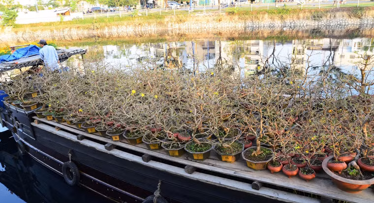 Chợ hoa “trên bến dưới thuyền” nổi tiếng nhiều năm qua mỗi khi Xuân về.