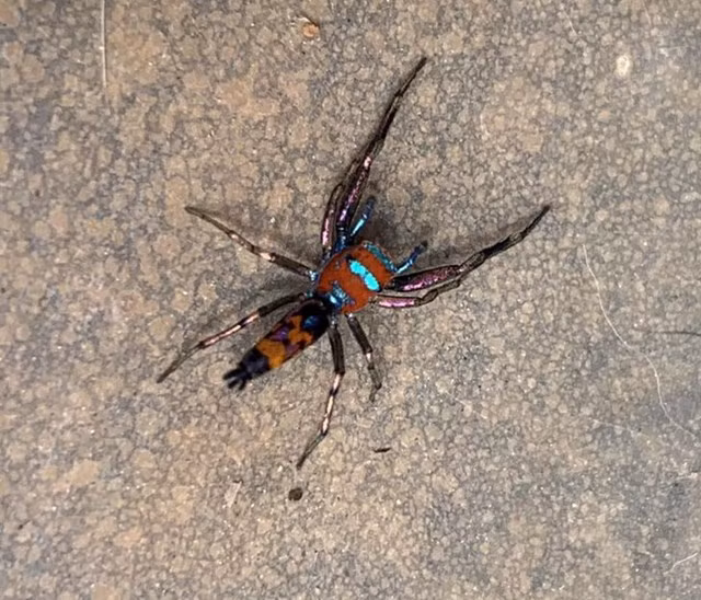 9. "Tôi tự hỏi liệu tôi có đạt được siêu năng lực nếu anh ta cắn tôi không."