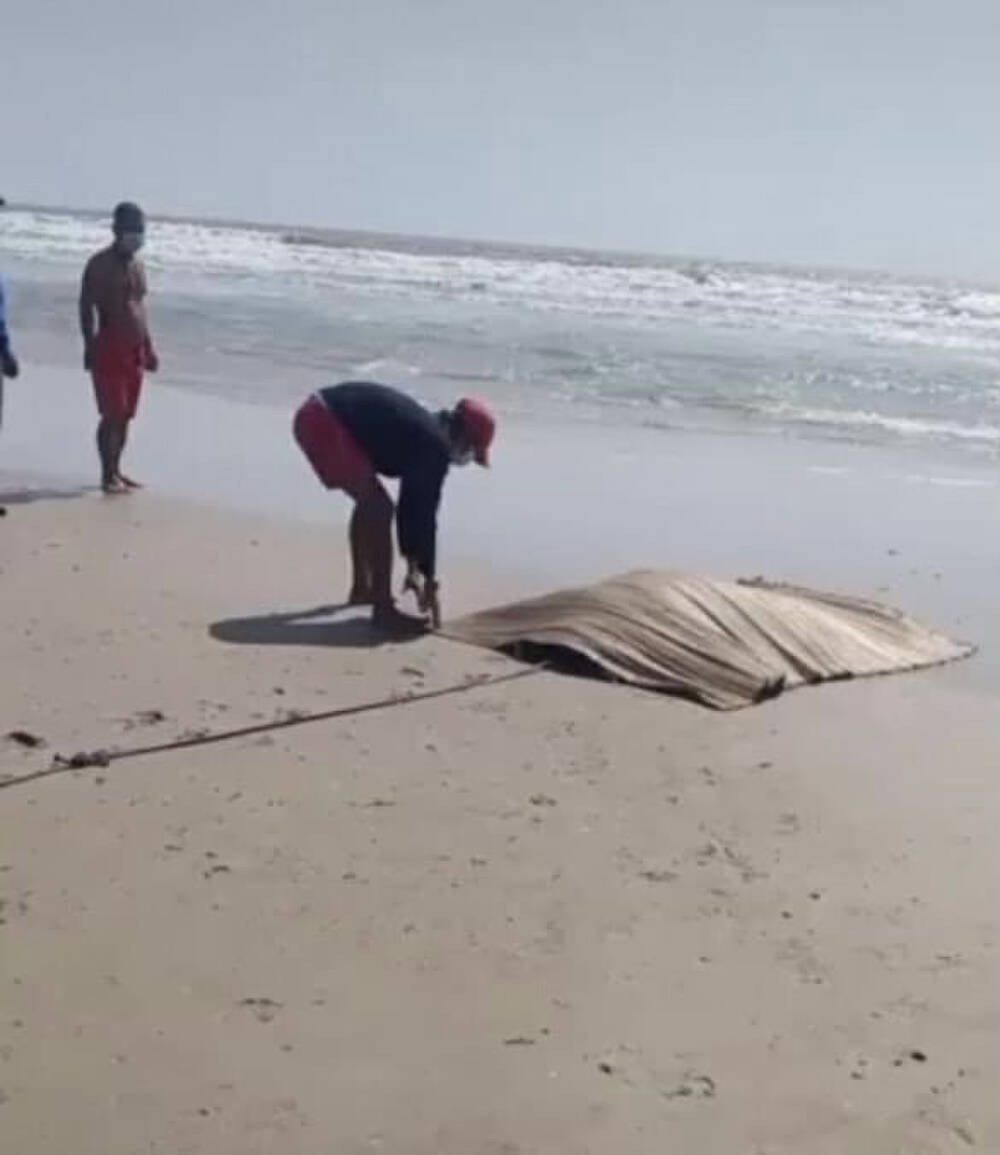  Du khách hốt hoảng phát hiện thi thể nam giới trôi dạt trên biển: Trưa 18/2, nhiều du khách đang tắm biển thì hốt hoảng, la hét bỏ chạy khi phát hiện thi thể một nam giới trương phình, trôi dạt vào bở biển khu vực Bãi Sau (TP. Vũng Tàu, tỉnh Vũng Tàu). Theo người dân, thi thể mặc áo màu đen, không mặc quần dài, người khá to và cao. Lực lượng chức năng TP.Vũng Tàu nghi ngờ thi thể này là một trong các nạn nhân trong vụ chìm tàu ở Bình Thuận vào ngày 16/2. 