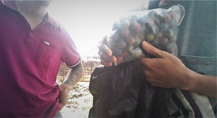 Cho phao lau tren mang nhon nhip ngay giap Tet