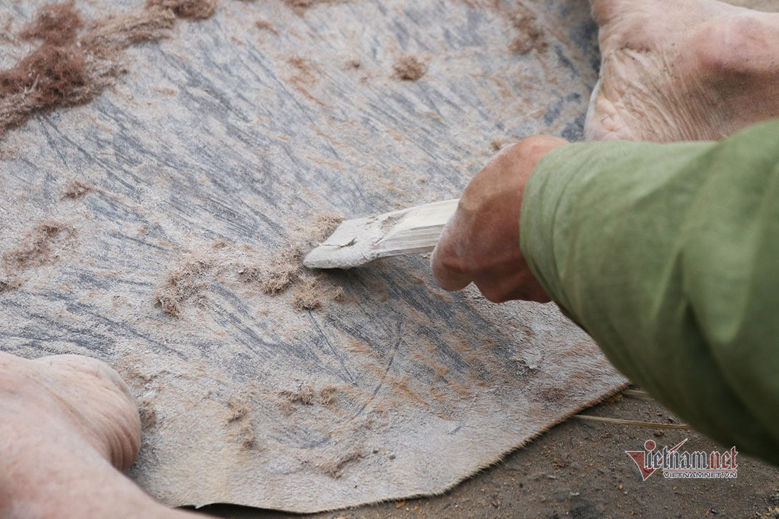 Hau due 9 doi lam trong o Nghe An ly giai bi quyet chon da trau-Hinh-7