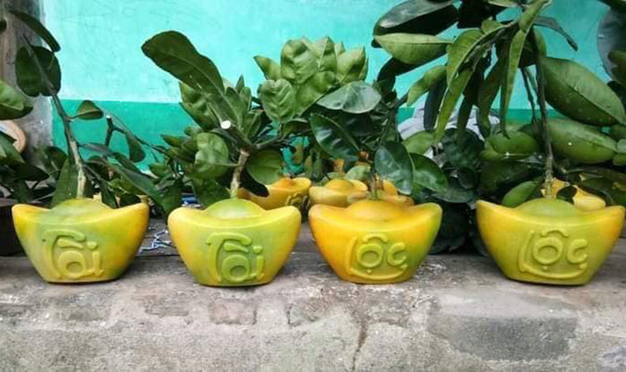 Cung Tet buoi tai loc thoi vang 1 trieu/cap: Dan Thu do cau phu quy