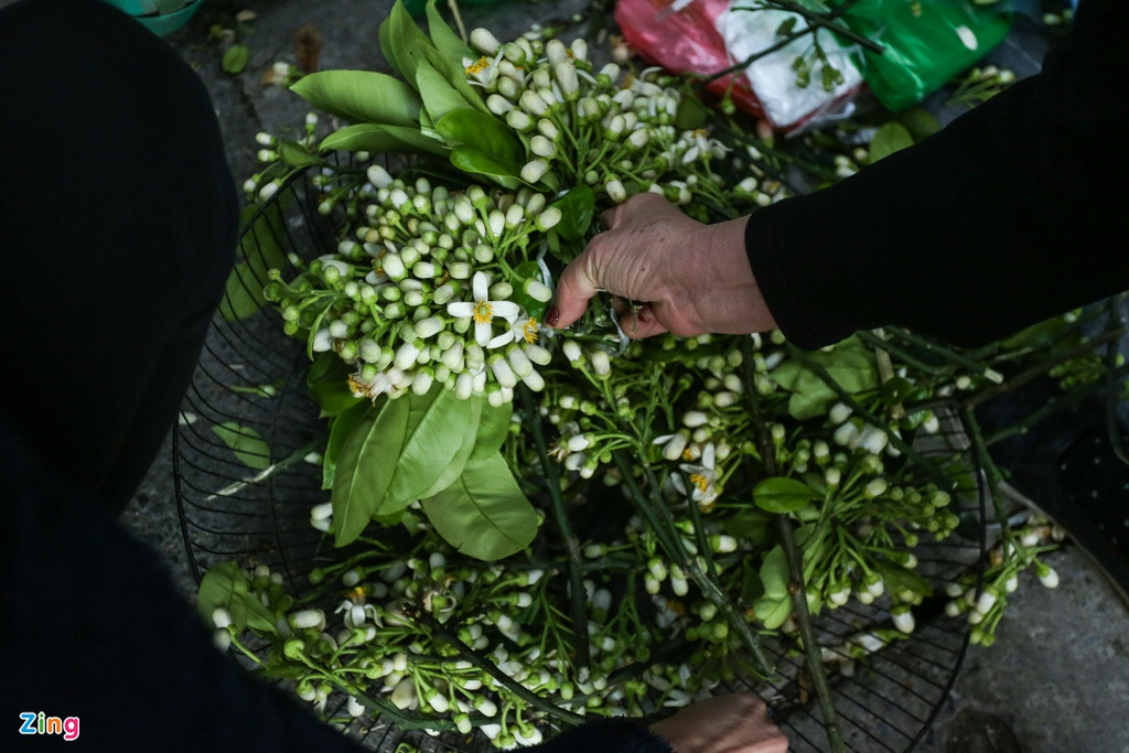 Hoa bưởi trang trí ban thờ, mâm cúng giao thừa cũng được nhiều người mua, giá 25.000 đồng/lạng.