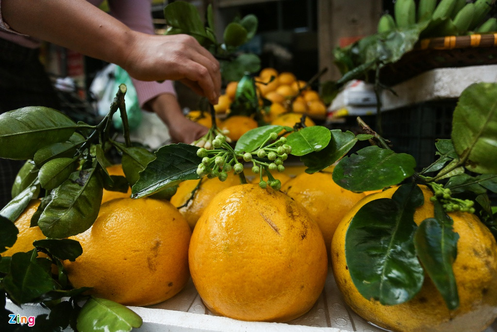 Bưởi diễn đồng giá 100.000 đồng/quả.