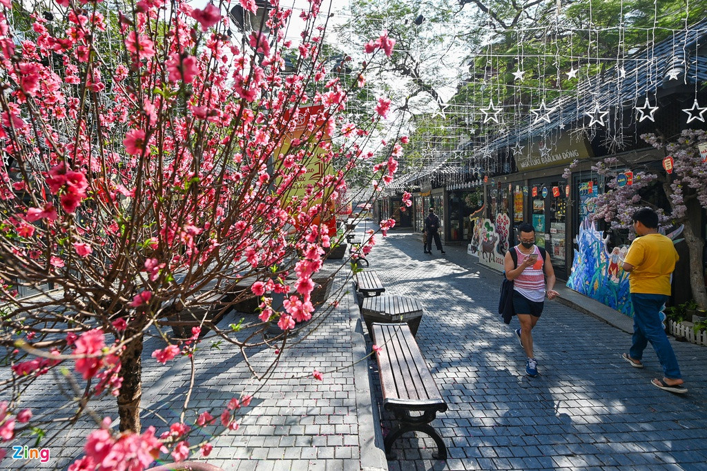 Dù đóng cửa nghỉ Tết nhưng phố sách 19/12 vẫn có các bạn trẻ tới tham quan và chụp ảnh. 